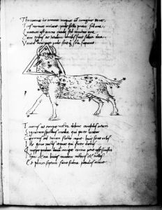 Basinio da Parma (Basinius Parmensis) p.17r - 15th century (second half)