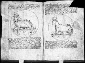 Scot, Michael p.89v-90r - 15th century
