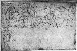 Cassiano dal Pozzo p.23 - 1549