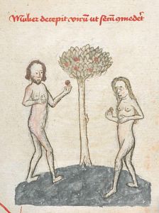 Wissenschaftliche Stadtbibliothek - II 10, fol. 2r - 15th century (middle)