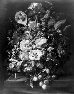 Ruysch, Rachel (1664-1750) - 1703