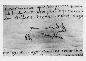 Dombibliothek - 83 II, fol. 165r - 798