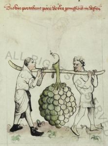 Biblioteca Apostolica Vaticana - Pal. lat. 413, fol. 26r - 15th century (early)