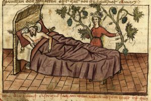 Provinzialbibliothek - 2 Ms. 46, fol. 8r - 1415 (circa)