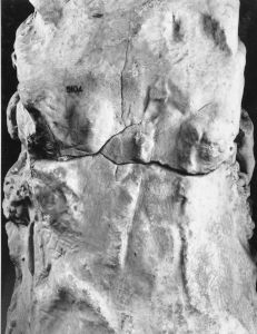 Ancient Roman - 1st century BC (second half)