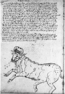 Scot, Michael p.6 - 15th century