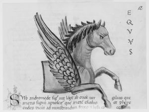 Stiftsbibliothek - 146, fol. 12r - 15th century