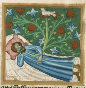 Národní Muzeum - III.B.10, fol. 5r - 1420 (circa)