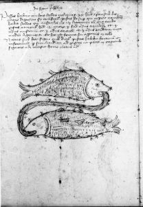 Scot, Michael p.16 - 15th century