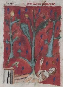 Stiftsbibliothek - Cod. 101, fol. 10v - 14th century (late)