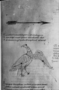 Cicero p.40r - 994 (circa)