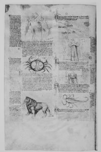Bayerische Staatsbibliothek - Clm 10268, fol. 79v - 1340 (circa)