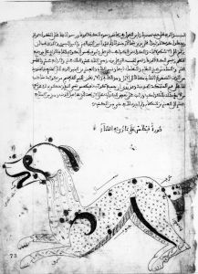 al-Sufi - 1224
