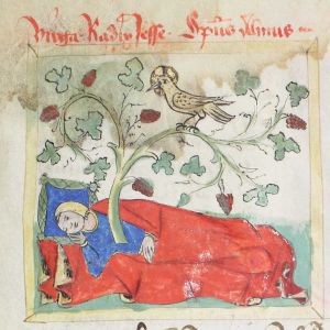Universitätsbibliothek - Cod. Haen. 3506, fol. 15r - 1436