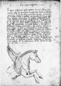 Scot, Michael p.29 - 15th century