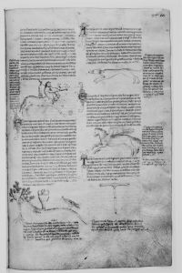 Bayerische Staatsbibliothek - Clm 10268, fol. 84r - 1340 (circa)