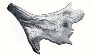 Palaeolithic - 18000 BC (circa)