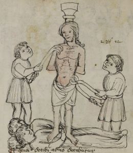 Stiftsbibliothek - Cod. 166, fol. 43v - 15th century (early)