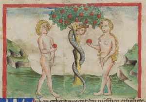 Herzog August Bibliothek - Cod. Guelf. 81.15. Aug fol., fol. 13v - 1456