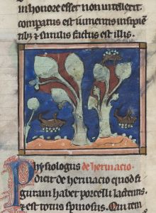 Sidney Sussex College - 100, fol. 27v - 1230 (circa)