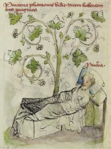 Biblioteca Apostolica Vaticana - Pal. lat. 413, fol. 11v - 15th century (early)