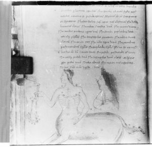 Hyginus p.48v - 15th century