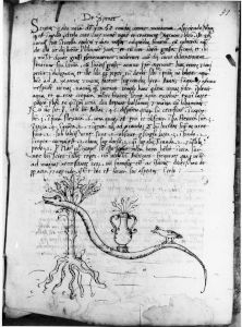 Scot, Michael p.51 - 15th century