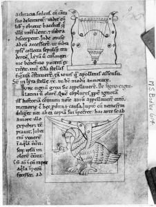 Hopwoode, Radulphus p.25r - 12th century (middle)