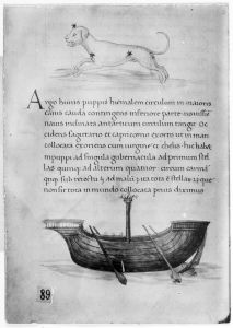 Hyginus p.89v - 15th century