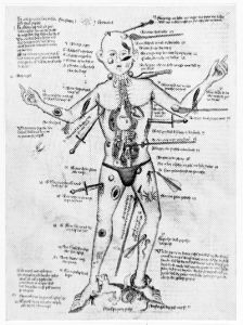 Wellcome Library - MS49, fol. 35r - 1420 (circa)