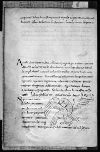 Bayerische Staatsbibliothek - Clm 560, fol. 112v - 9th century