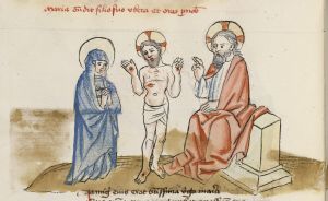 Universitätsbibliothek - Cod.I.2.2.24 (Oettingen-Wallersteinsche Bibliothek), fol. 81v - 1456