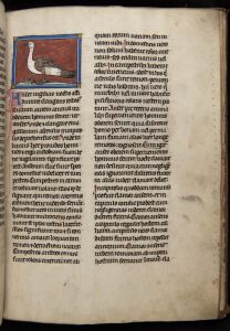 Sidney Sussex College - 100, fol. 20r - 1230 (circa)