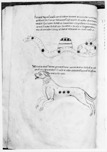 Stiftsbibliothek - 685, fol. 83v - 12th century
