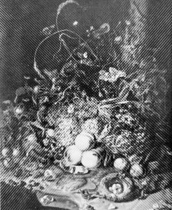 Ruysch, Rachel (1664-1750) - 1685