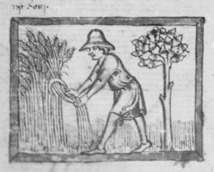 Ermengaud, Matfre p.43v - 15th century