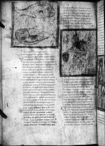 Germanicus Caesar p.61v - 11th century