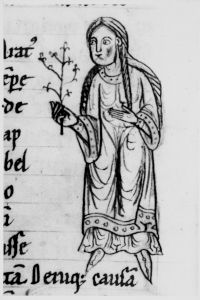 Hyginus p.17v - 12th century