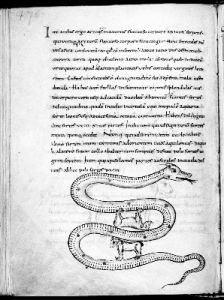 Stiftsbibliothek - 250, fol. 476 - 9th century (fourth quarter)