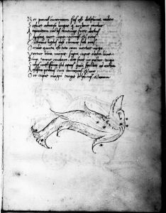 Basinio da Parma (Basinius Parmensis) p.11r - 15th century (second half)