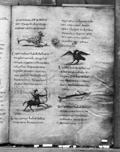 Österreichische Nationalbibliothek - Cod. 387, fol. 119r - 818