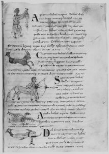 Pseudo-Beda p.29r - 9th century (early)