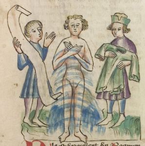 Universitätsbibliothek - Pal. germ. 432, fol. 17r - 1420 (circa)