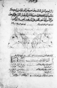 al-Sufi p.150 - 1009