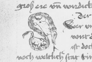 Scot, Michael p.156v - 1456 (circa)