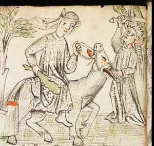 Kantonsbibliothek - VadSlg Ms. 352, fol.1-2, fol. 10 - 1440 (circa)