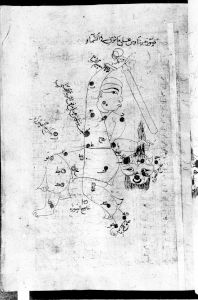 al-Sufi p.63r - 1125