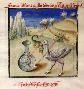 Newberry Library - 40, fol. 29r - 1460 (circa)