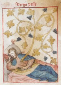 Public Library - Spencer 15, fol. 5r - 1420 (circa)