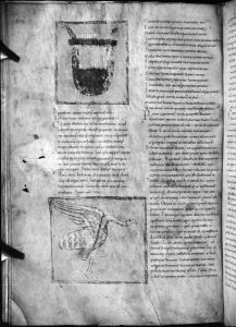 Germanicus Caesar p.62v - 11th century